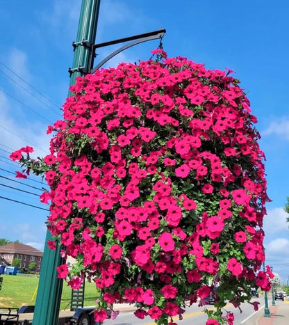 UV Simulation Artificial flower