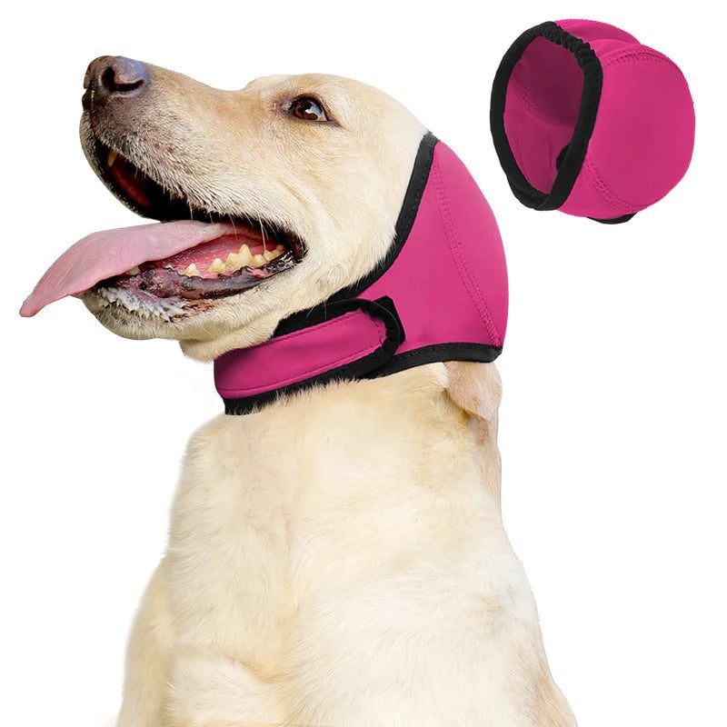 🐶 Calm Your Dog Instantly | 49% OFF Now