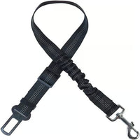 Black 2-Pack