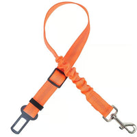 Orange 2-Pack