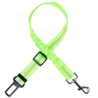 Green 2-Pack
