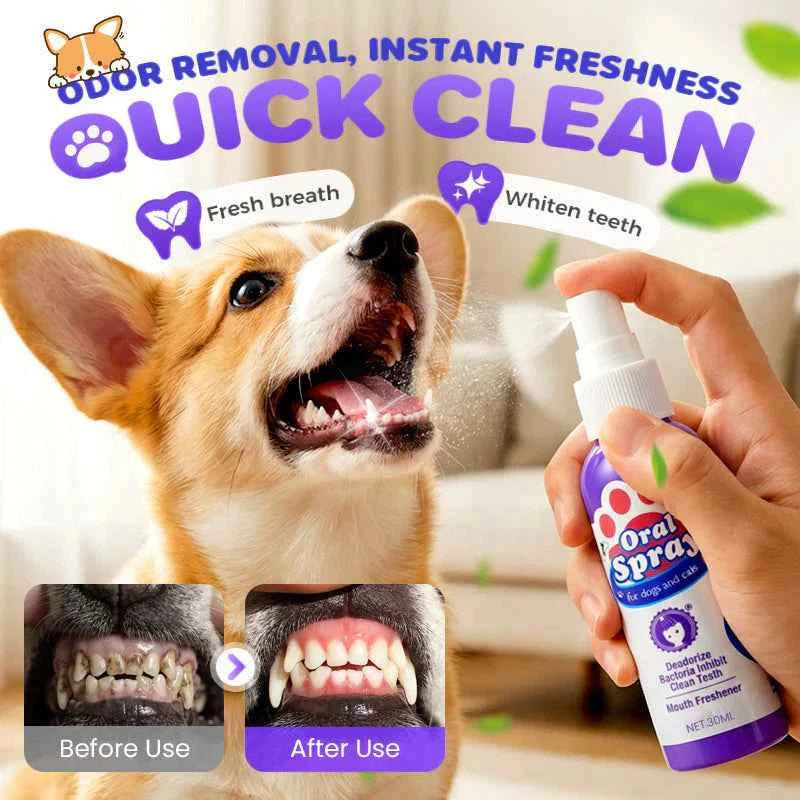 Teeth Cleaning Spray for Pets