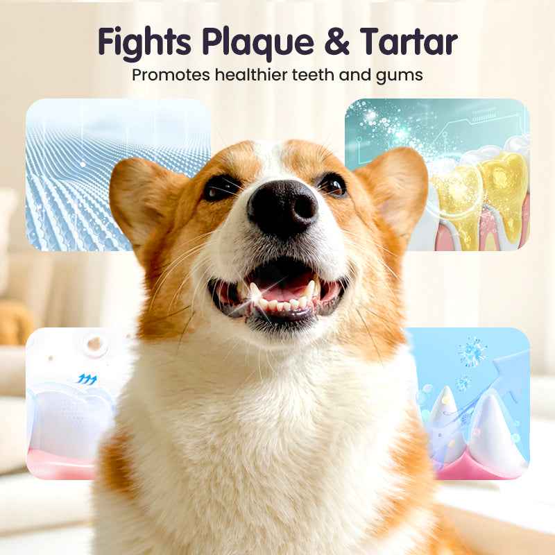Teeth Cleaning Spray for Pets