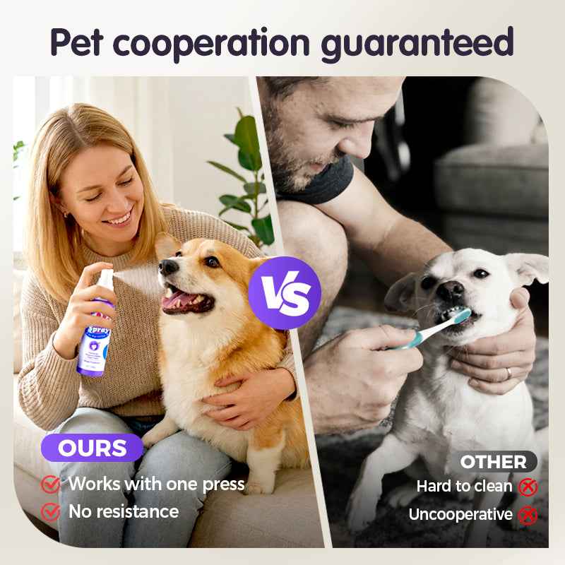 Teeth Cleaning Spray for Pets