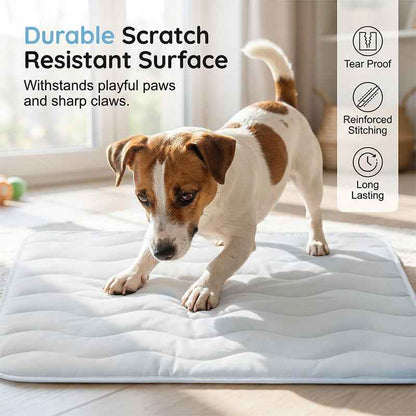 ❄️ 50%OFF 🧊Breathable Washable Pet Cooling Mat