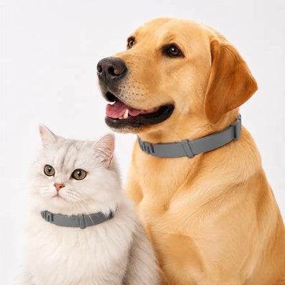 🐶55% OFF TODAY🛡️ Advanced Flea & Tick Collar for Dogs & Cats