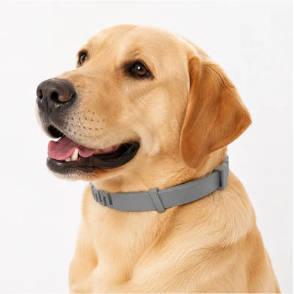 🐶55% OFF TODAY🛡️ Advanced Flea & Tick Collar for Dogs & Cats